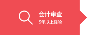 3會(huì)計(jì)審查.png
